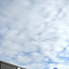20131129_PD1889_LR.jpg