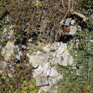 IMG_0384.JPG