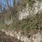 IMG_0387.JPG