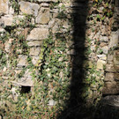 IMG_0391.JPG
