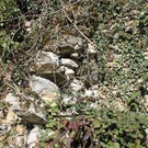 IMG_0398.JPG