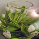 100_9762_jpg-1269698533