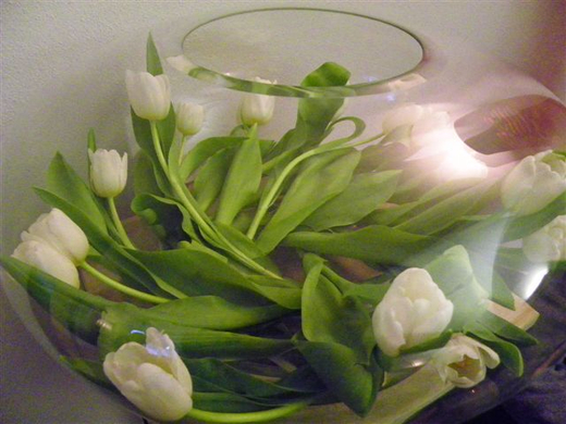 100_9762_jpg-1269698533