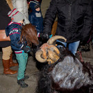 normal_20131129fmt_linzergassenlauf_festungsteifin_mw-20.jpg
