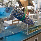 normal_20131130fmt_renexpo_austria_mw-4.jpg