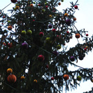 BK_20 Weihnachtsmarkt FK 10.JPG
