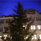 BK_20 Weihnachtsmarkt FK 31.jpg