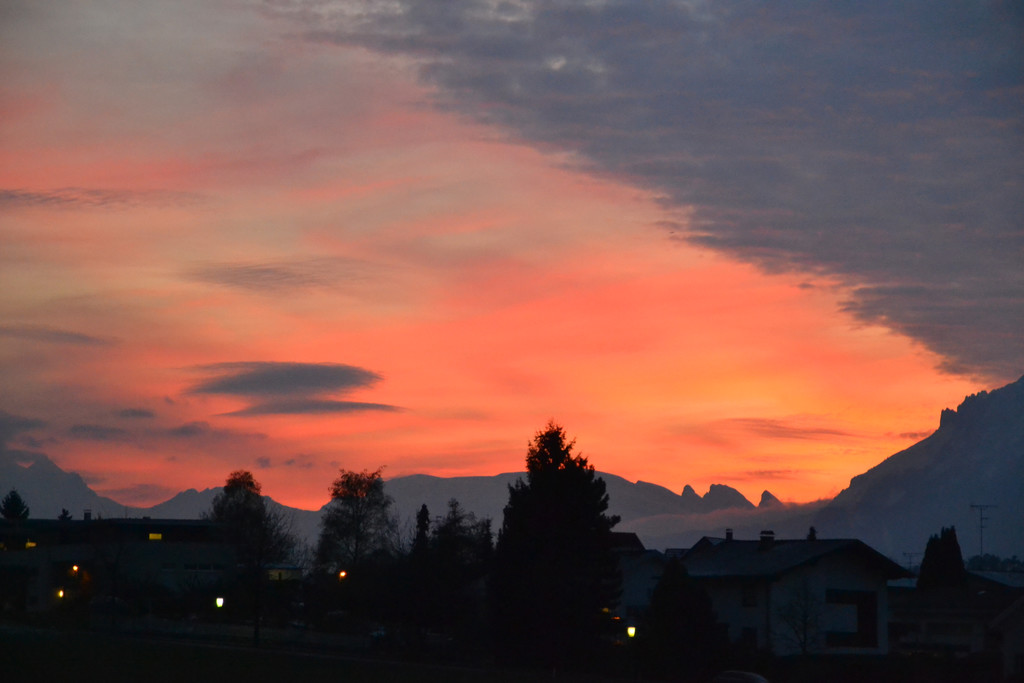DSC_0995.JPG