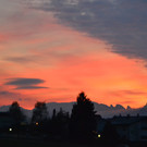DSC_0995.JPG