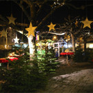 BK_Winterwunderland GH Lo__wen Nofels 2.JPG