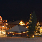 DSC06500 _76_.JPG