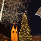 DSC06500 _78_.JPG