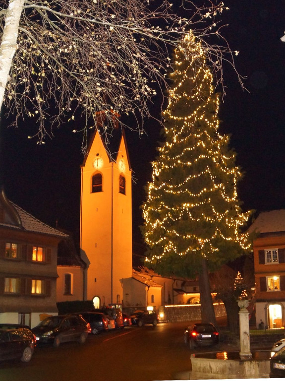 DSC06500 _87_.JPG