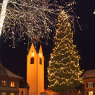 DSC06500 _87_.JPG