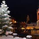 DSC07814.JPG