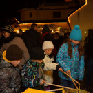 DSC07864.JPG