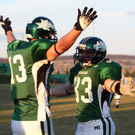 AFL: Danube Dragons - Salzburg Bulls 49:13