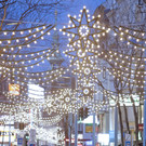 Christmas Shopping in Wien