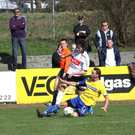 ems aa_jpg-1269763790