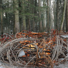 Advent Rheinholz 01-12-2013 110.jpg