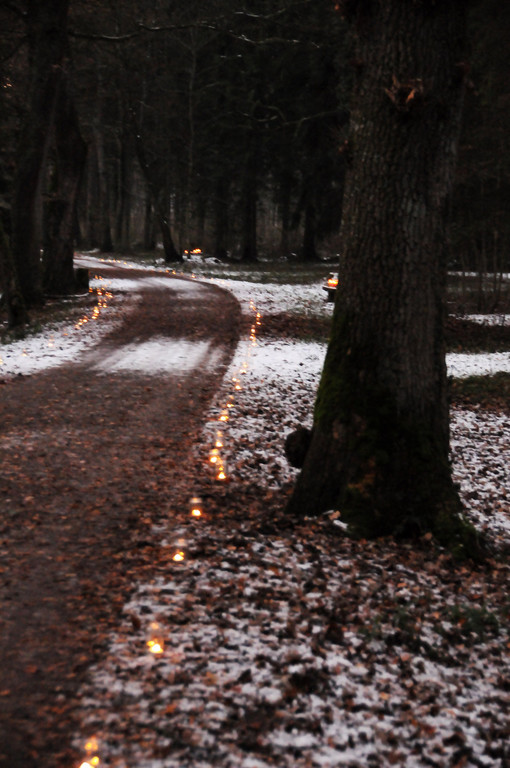 Advent Rheinholz 01-12-2013 132.jpg