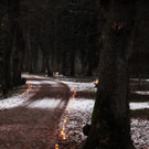 Advent Rheinholz 01-12-2013 132.jpg