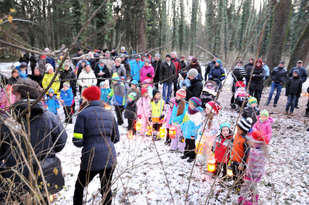 Advent Rheinholz 01-12-2013 147.jpg
