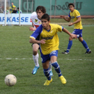 ems haas_jpg-1269764082