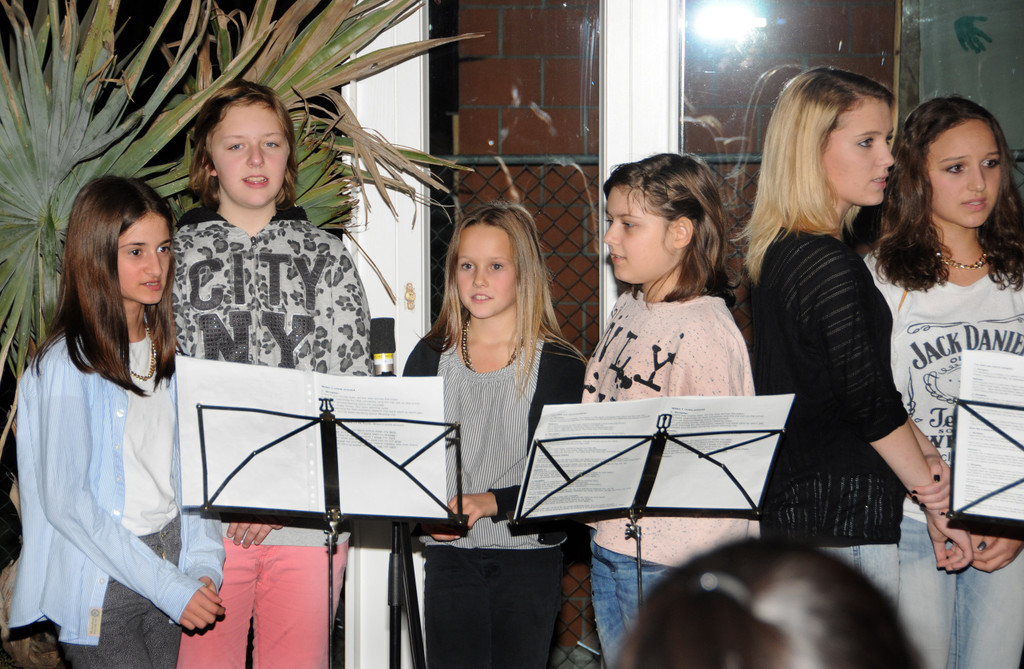 VMS Ho__chst 29-11-2013 6.jpg