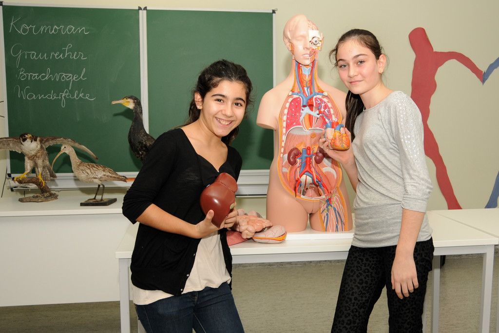 VMS Ho__chst 29-11-2013 41.jpg