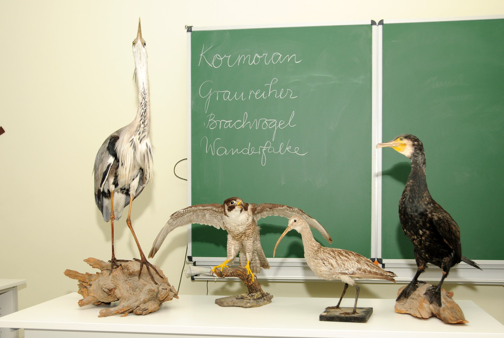 VMS Ho__chst 29-11-2013 45.jpg