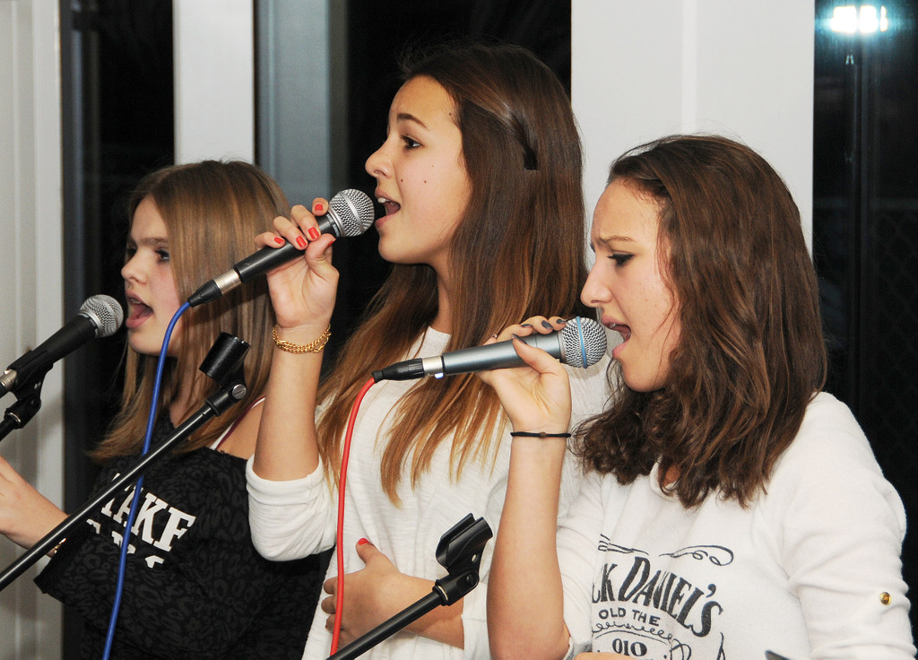 VMS Ho__chst 29-11-2013 90.jpg