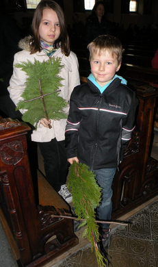 DSCN9249.JPG