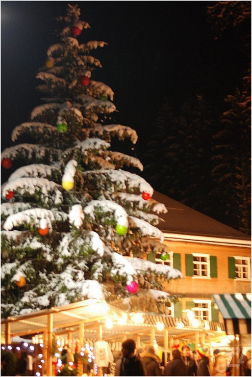 20131130_087_christbaumfeier9_light.JPG