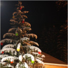 20131130_087_christbaumfeier9_light.JPG