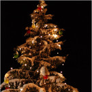20131130_109_christbaumfeier9_light.JPG