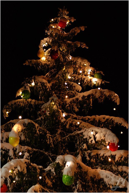20131130_120_christbaumfeier9_light.JPG