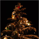 20131130_120_christbaumfeier9_light.JPG