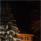 20131130_088_christbaumfeier9_light.JPG