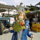 Palmbuschbinden 