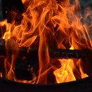 DSC_1164.JPG