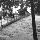 lustenau01.jpg