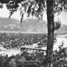 lustenau05.jpg