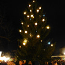 Licht2Baum.jpg