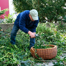BK_ratschen 8_jpg-1269792765