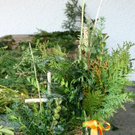 BK_ratschen 11_jpg-1269792773