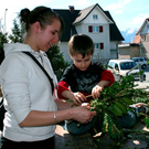 BK_ratschen 16_jpg-1269792787
