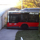 sackgasse_freddyb.jpg