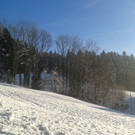 20131203_150417.jpg