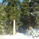 20131203_150423.jpg